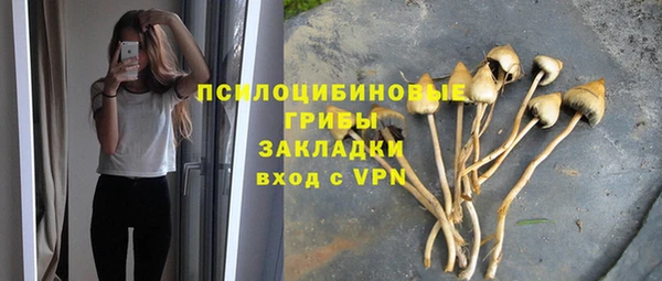 скорость Абаза