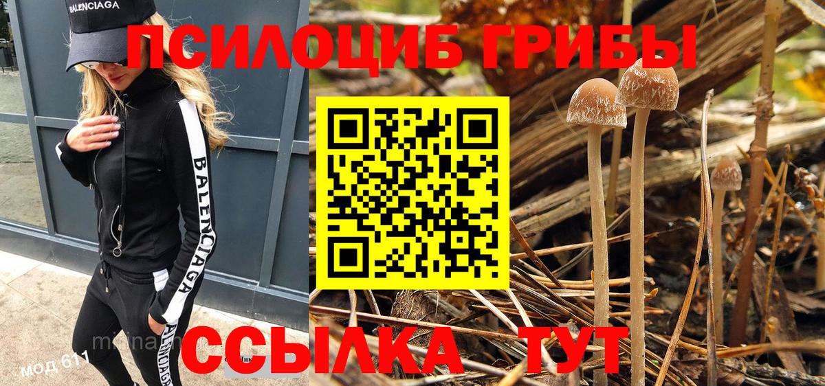 Галлюциногенные грибы GOLDEN TEACHER Балаково