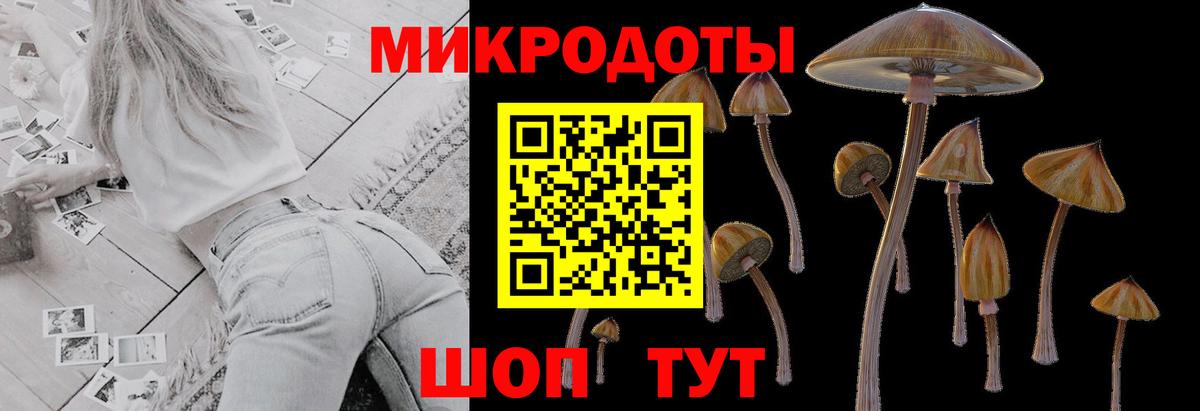 Балаково  Галлюциногенные грибы GOLDEN TEACHER  Вход с VPN  Галлюциногенные грибы мухоморы 